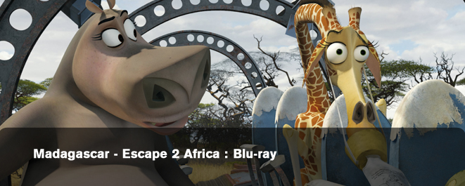 madagascar escape 2 africa